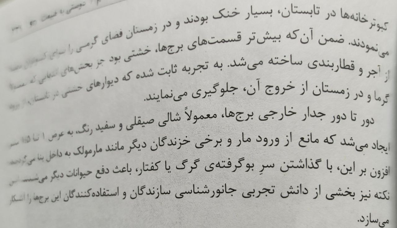mhkarami97
